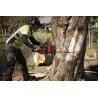 copy of FSA 57 - STIHL