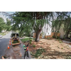 copy of FSA 57 - STIHL