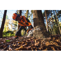 MSA 260 C-O - STIHL