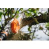 HTA 135 - STIHL